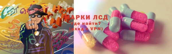 ГАЛЛЮЦИНОГЕННЫЕ ГРИБЫ Беломорск
