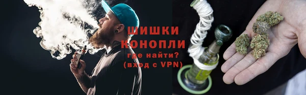 гидропоника Белокуриха