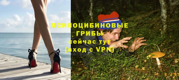 гидропоника Белокуриха