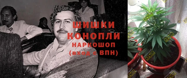 ГАЛЛЮЦИНОГЕННЫЕ ГРИБЫ Беломорск