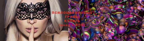 ГАЛЛЮЦИНОГЕННЫЕ ГРИБЫ Беломорск