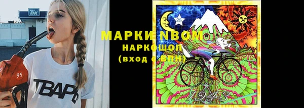 гидропоника Белокуриха
