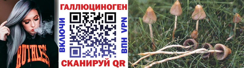 OMG ССЫЛКА Барнаул Псилоцибиновые грибы мицелий